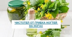 Грибок между пальцами ног лечение в домашних